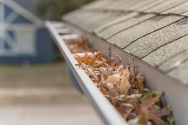 Leaf Barrier Installation in New Baltimore